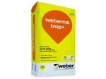 Weber_Trap_.jpg